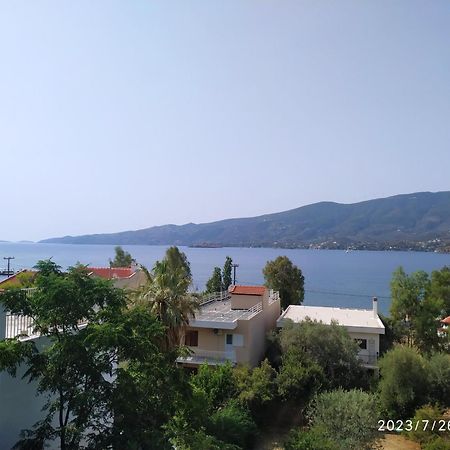 Rigos House At Askeli Beach, Poros Island Poros Town Buitenkant foto