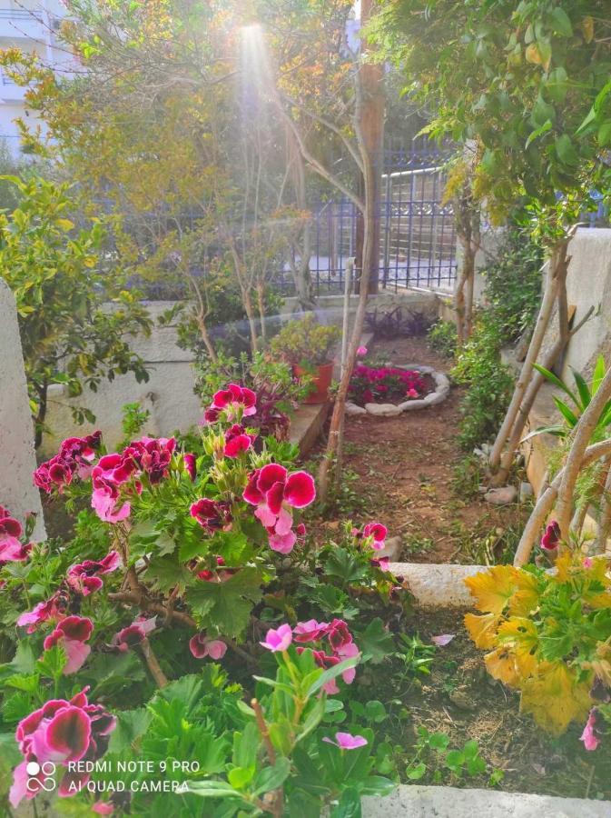 Rigos House At Askeli Beach, Poros Island Villa Poros Town Buitenkant foto