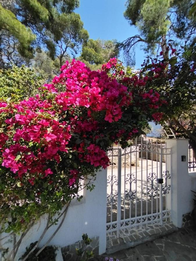 Rigos House At Askeli Beach, Poros Island Poros Town Buitenkant foto